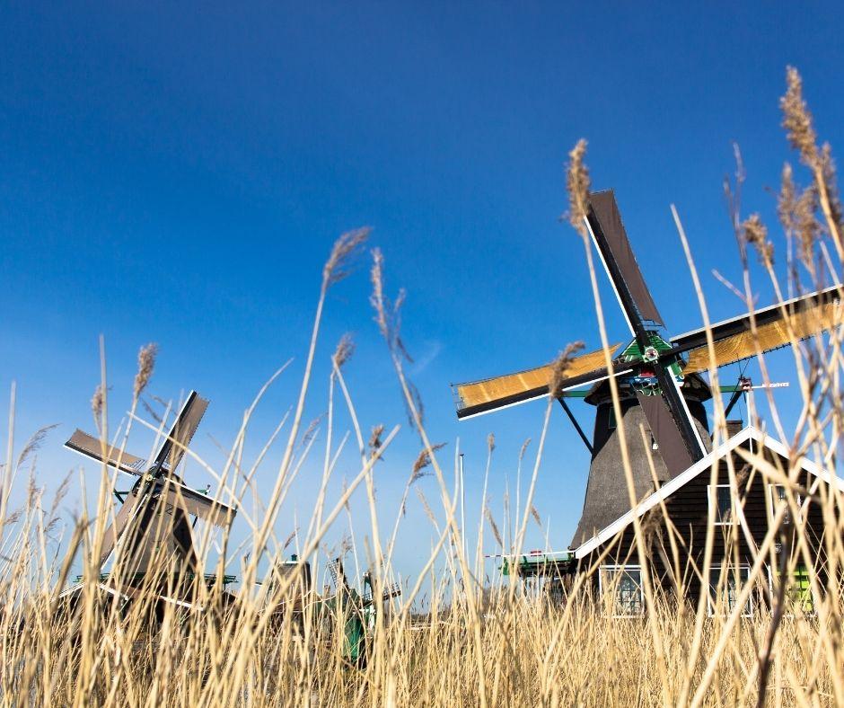 Forfait vélo Zaandam
