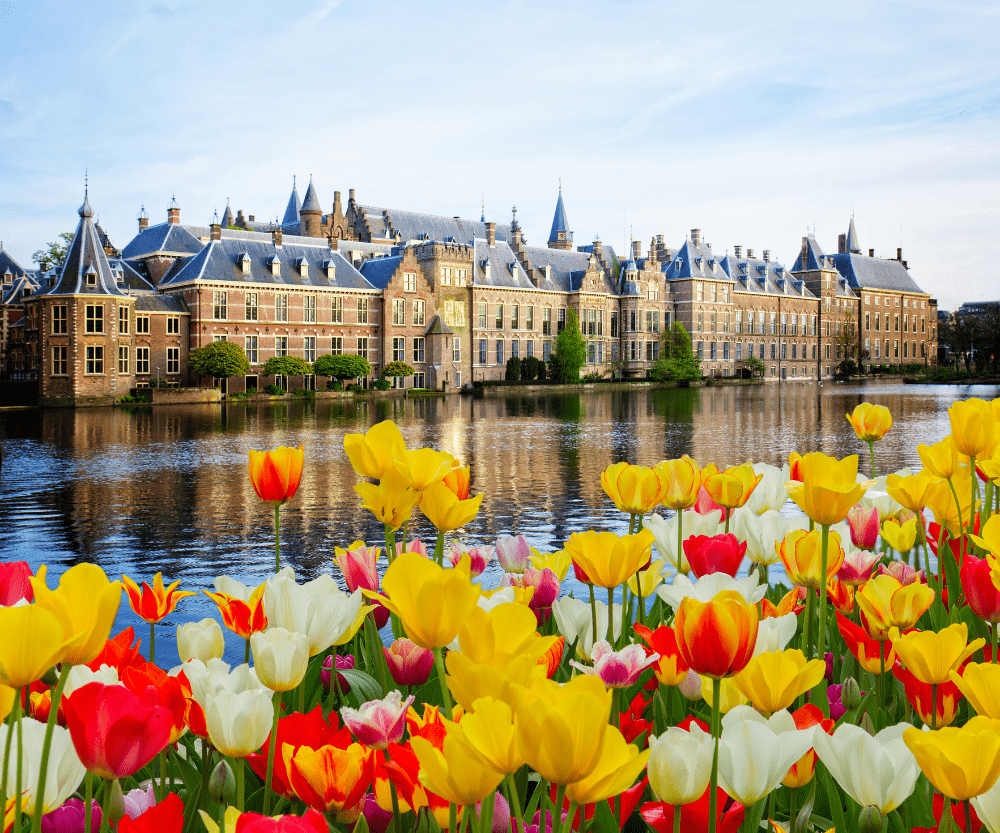 Den Haag