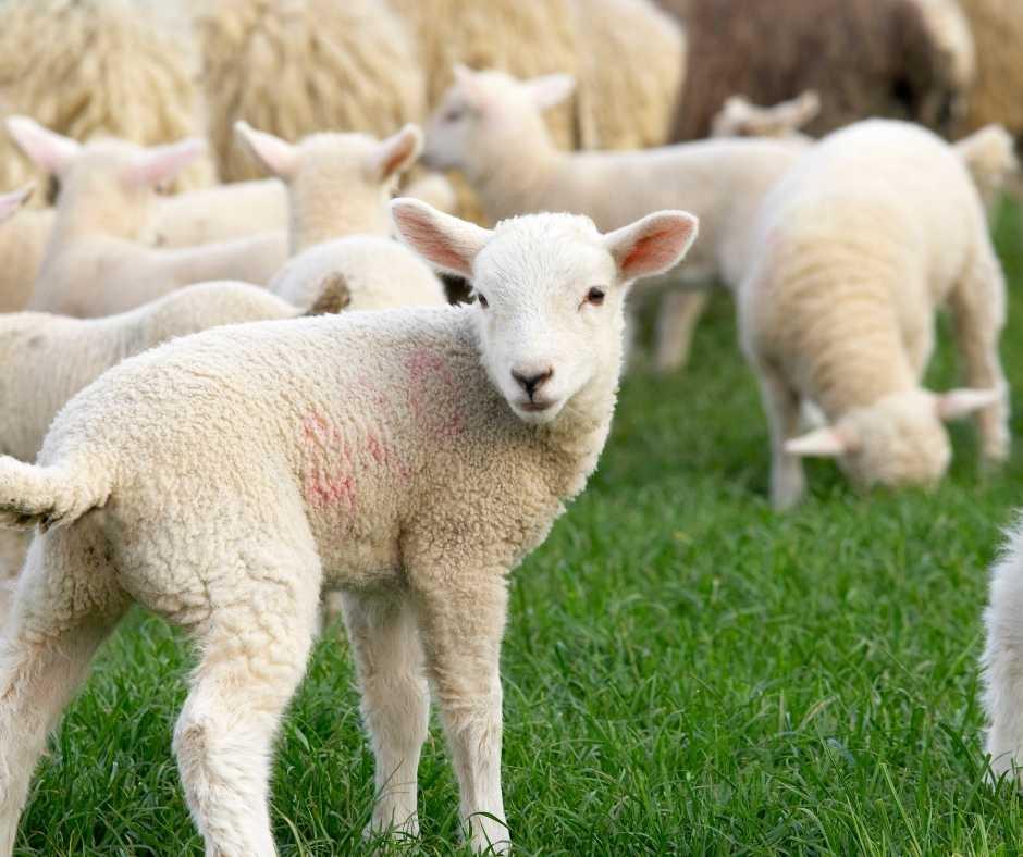 Weekendje weg met Pasen. Boek met 15% korting bij Bastion Hotels. 