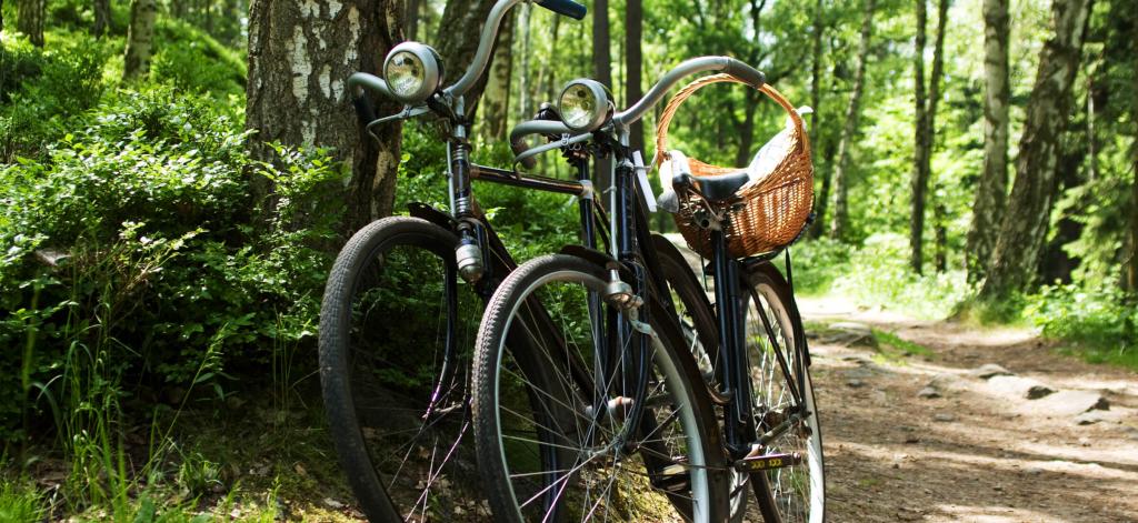 Cycling package Veluwe