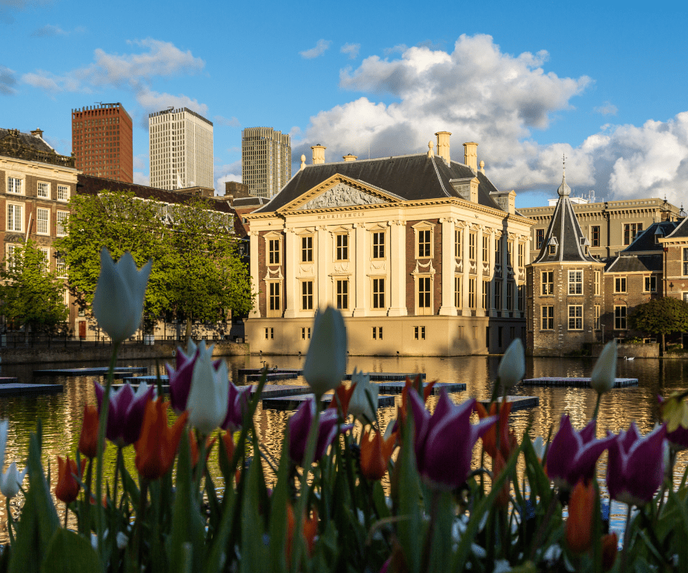 Museumnacht Den Haag