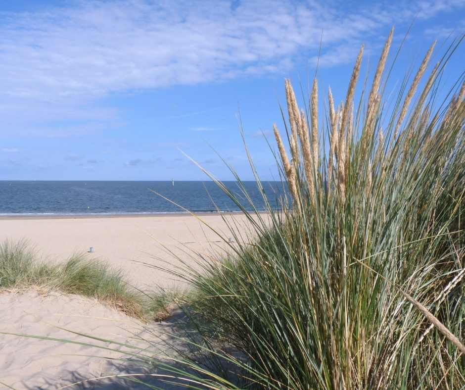 Strand in Nederland