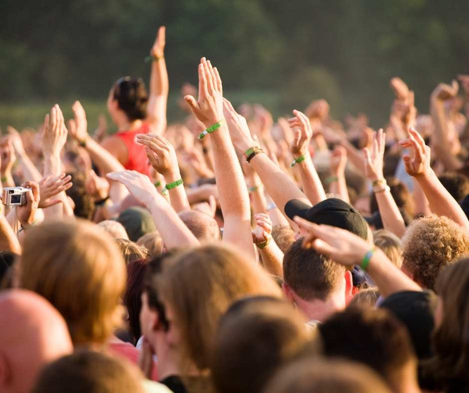 Pleinvrees Festival Amsterdam