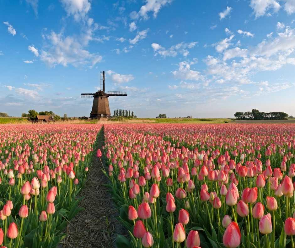 Pinksterweekend bij Bastion Hotels