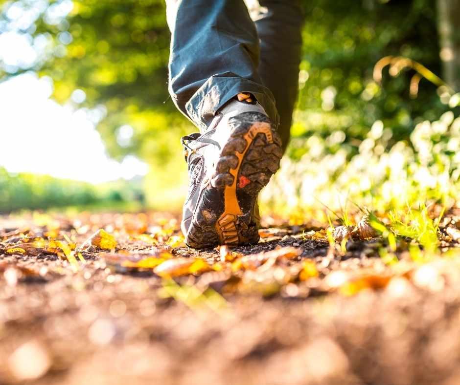 Walking route