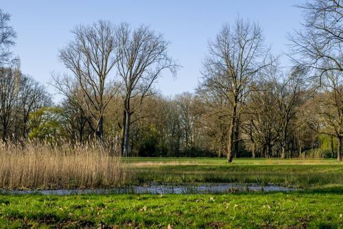 Leijpark Tilburg
