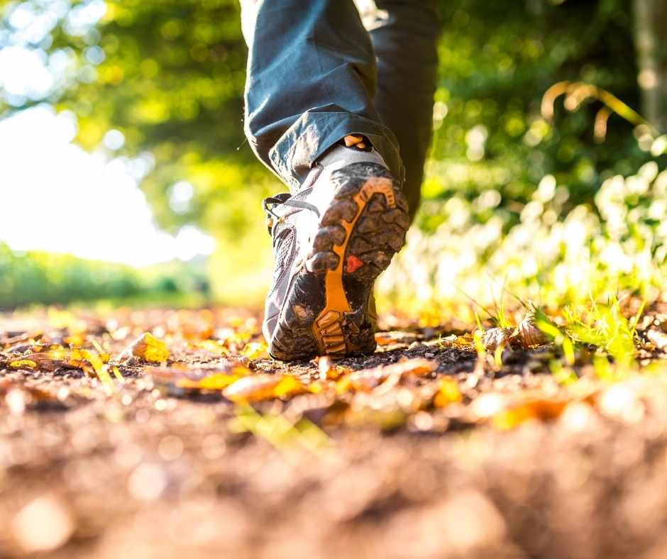 Wandern in Utrecht - Buchen Sie günstig bei Bastion Hotels!