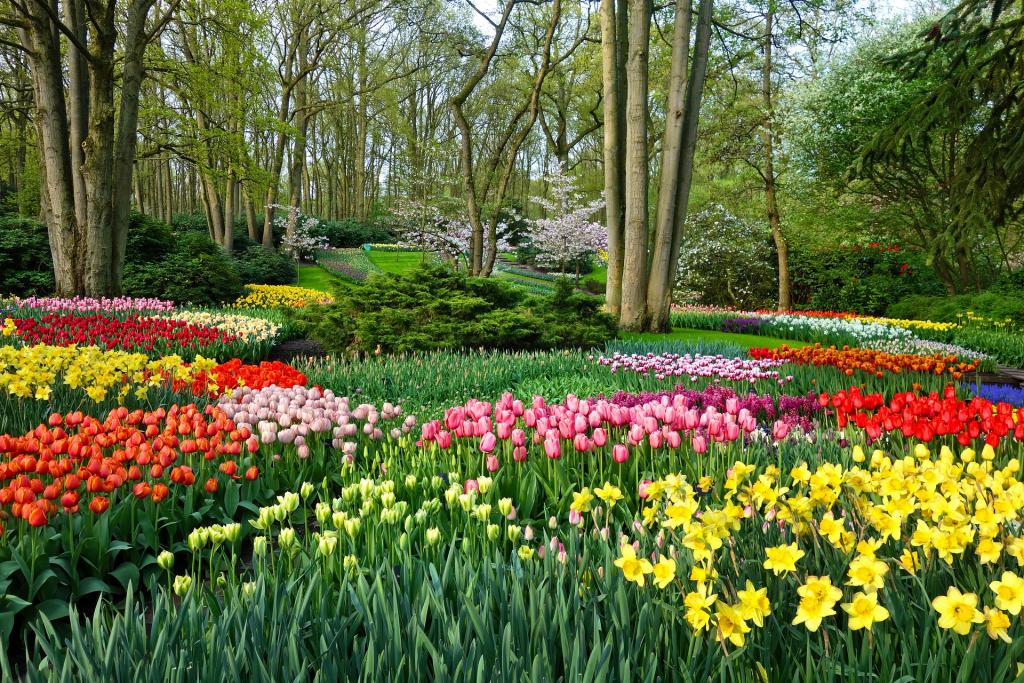 Hotel en Holanda Meridional