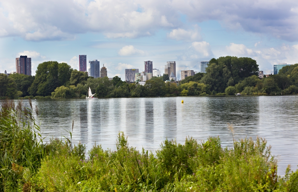 Kralingse Bos