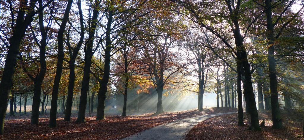 Prachtige natuur in Gelderland