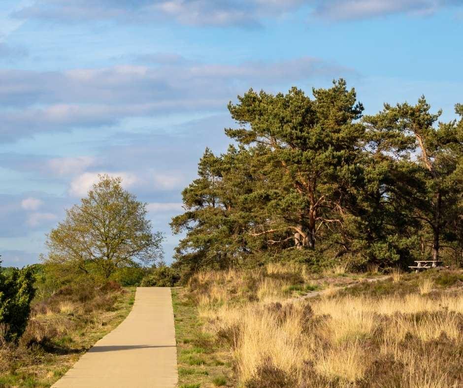 Voordelig en comfortabel overnachten doe je bij Bastion Hotels. Keuze uit 2 hotels op de Veluwe! 